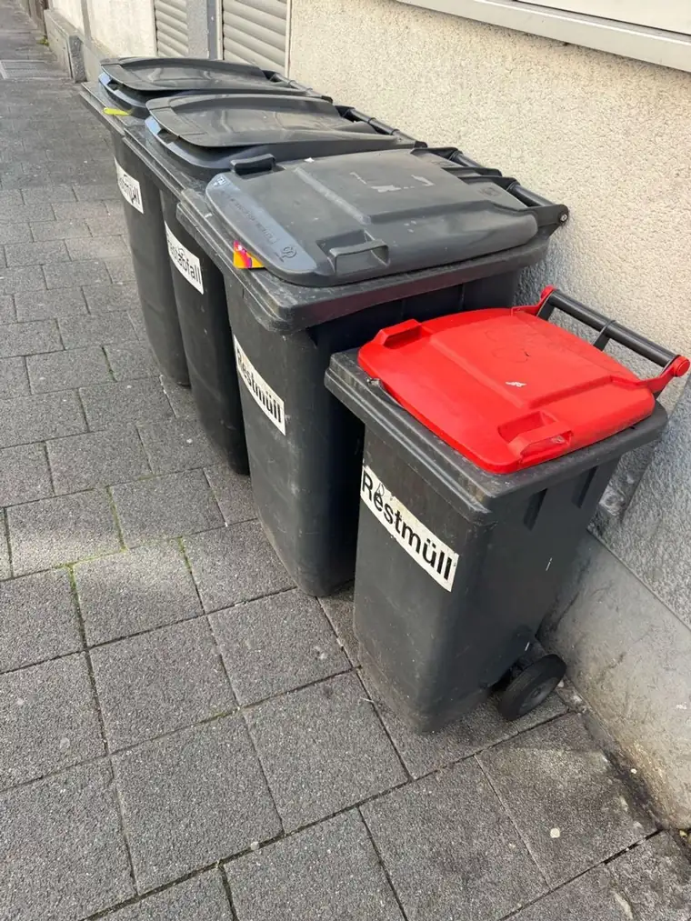 Aufgeräumter Mülltonnenplatz mit Restmülltonnen