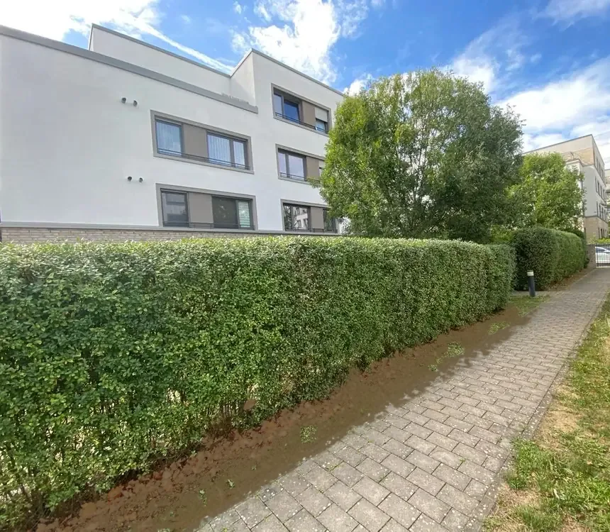 Frisch geschnittene Hecke entlang eines gepflasterten Weges vor modernen Wohnhäusern