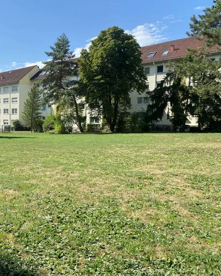 Gemähte Rasenfläche mit großen Bäumen vor Wohnhäusern