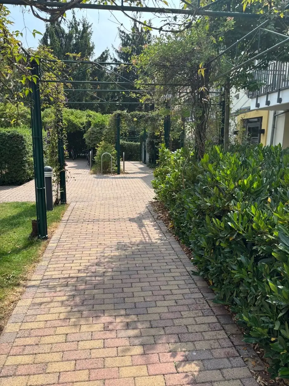 Gepflasterter Weg unter einer Pergola zwischen Hecken und Beeten