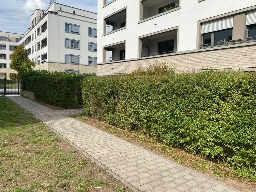 Geschnittene Hecke und gepflasterter Weg vor einem Wohnhaus