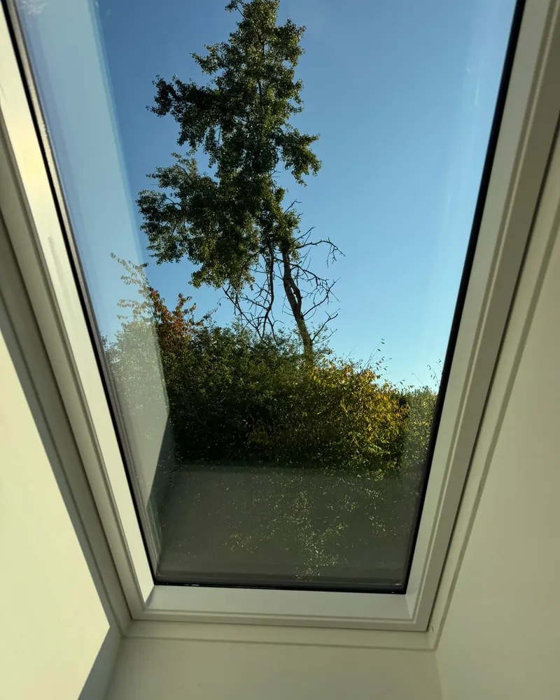 Sauberes Dachfenster mit Blick auf einen Baum